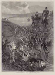 カブハンティング、湿原を横切るスピン